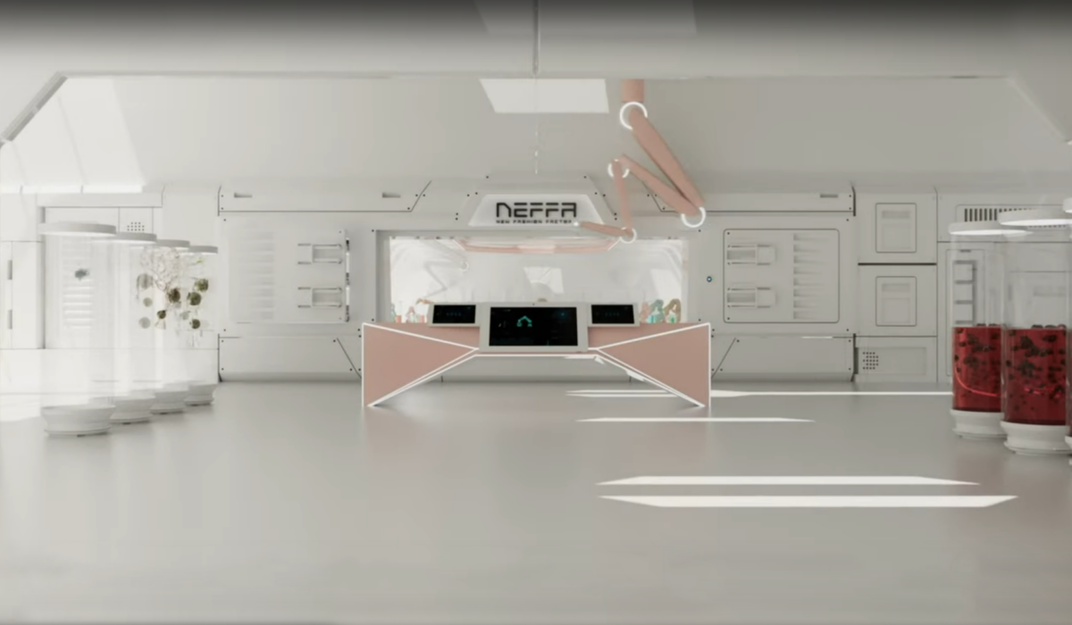 NEFFA 3D Video Manufactoring